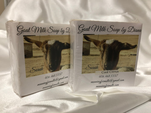 Touch of Citrus: Goat Milk Soap 4.8 oz bar